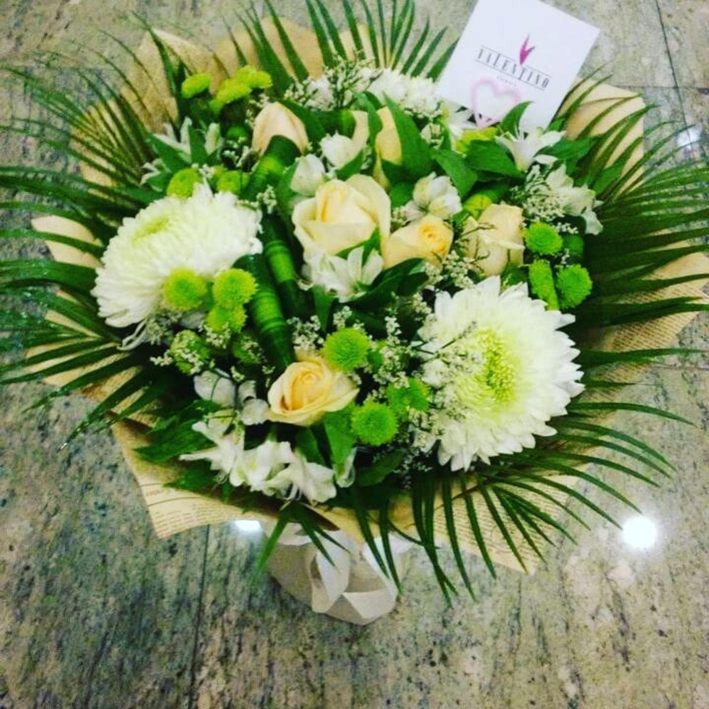 HiDubai-business-valentino-flowers-animals-pets-plants-plants-gardening-stores-al-sufouh-1-dubai-1