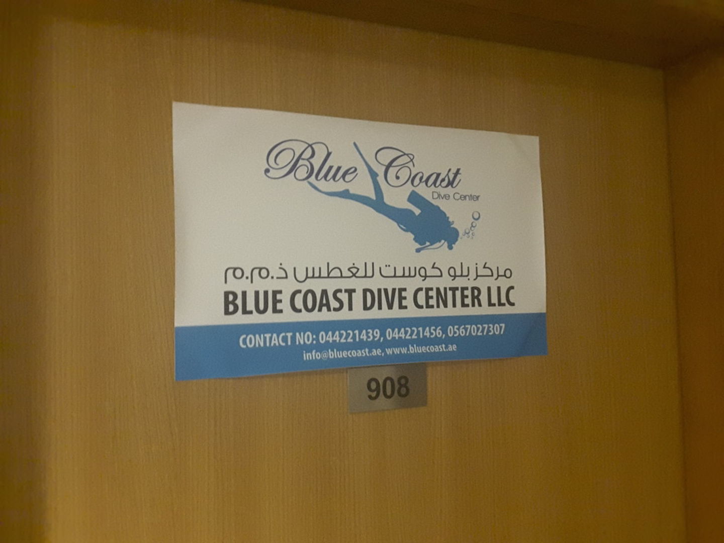 HiDubai-business-blue-coast-dive-center-education-hobby-centres-the-palm-jumeirah-nakhlat-jumeirah-dubai-2