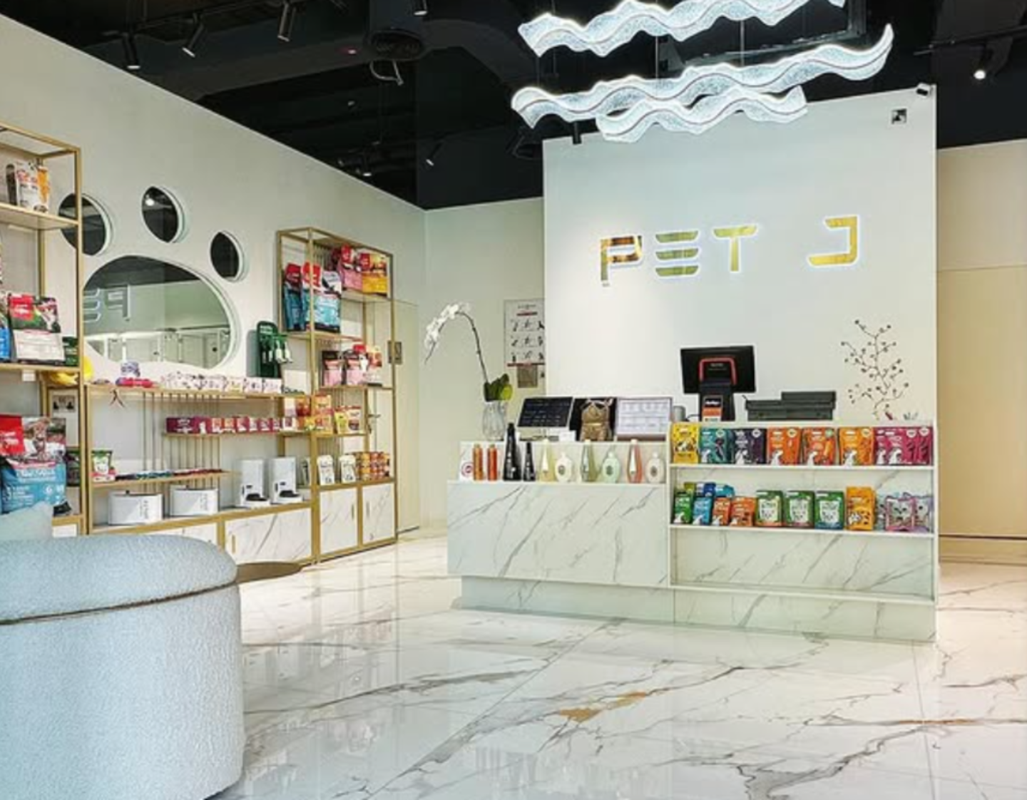 HiDubai-business-pet-j-animals-pets-plants-pet-grooming-centres-al-barsha-south-2-dubai