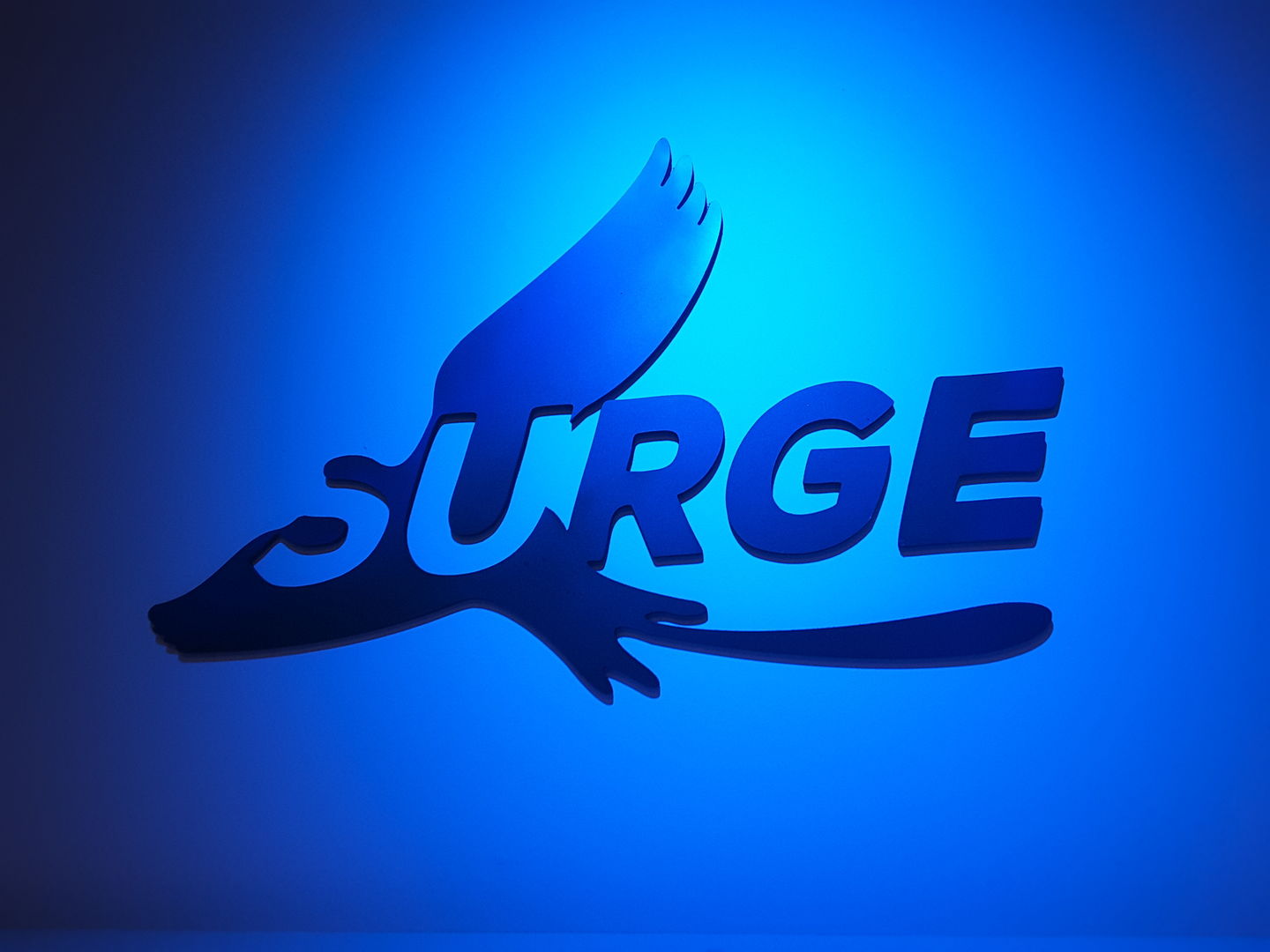 HiDubai-business-surge-body-fitness-sports-fitness-gyms-fitness-centres-pools-dubai-media-city-al-sufouh-2-dubai-2