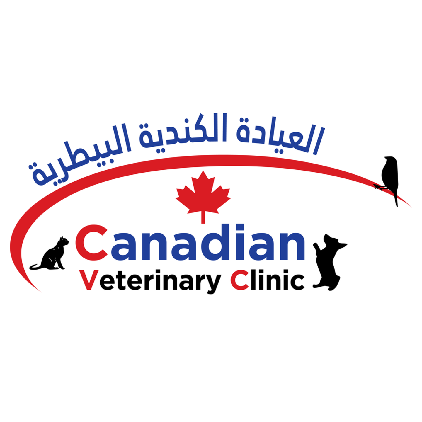 HiDubai-business-canadian-veterinary-clinic-animals-pets-plants-pet-clinics-vets-al-manara-dubai