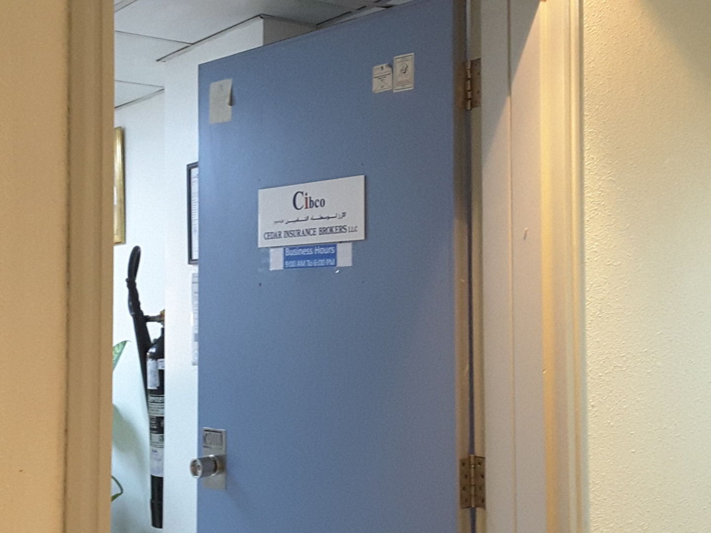 HiDubai-business-cibco-global-housing-real-estate-real-estate-agencies-hor-al-anz-east-dubai