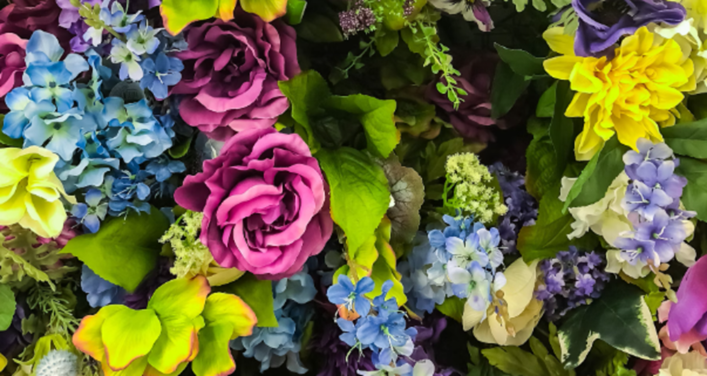 HiDubai-business-flora-ritz-flowers-ornamental-plants-trading-animals-pets-plants-plants-gardening-stores-al-rigga-dubai