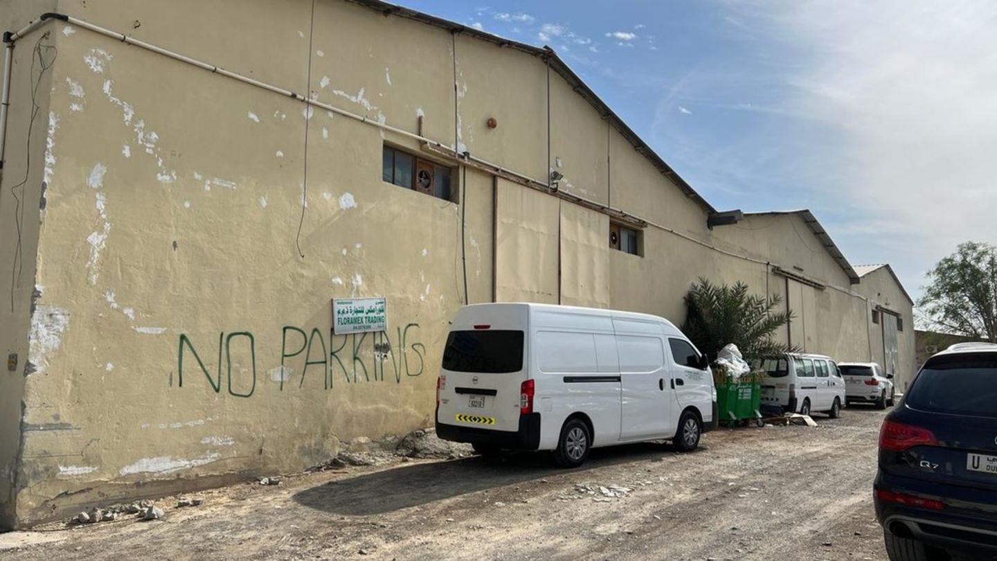 HiDubai-business-floramex-trading-b2b-services-distributors-wholesalers-umm-ramool-dubai