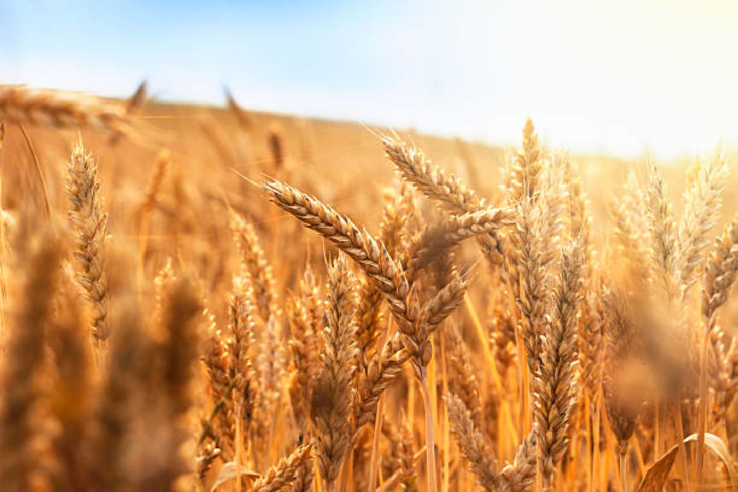 HiDubai-business-a-e-group-company-construction-heavy-industries-environmental-agricultural-companies-business-bay-dubai