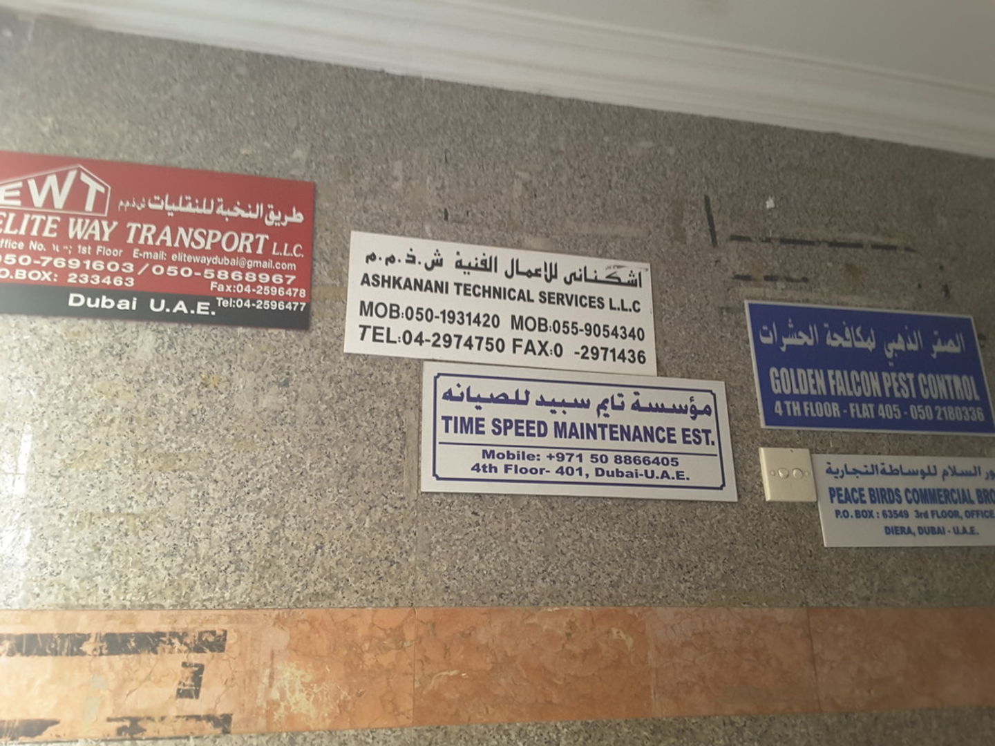 HiDubai-business-golden-falcon-pest-control-home-pest-control-disinfection-services-al-murar-dubai-2