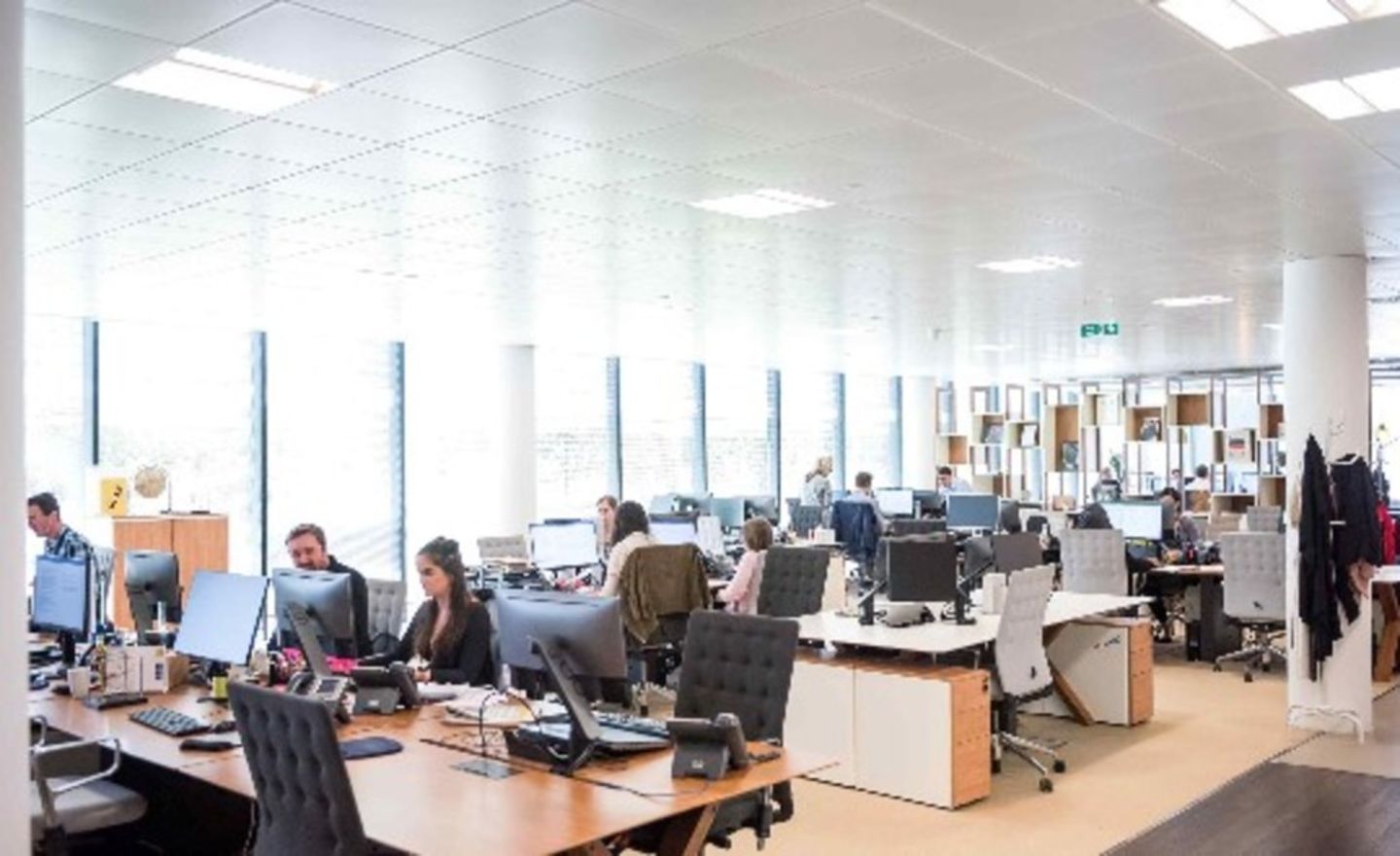 HiDubai-business-devotion-investment-group-b2b-services-holding-companies-business-bay-dubai