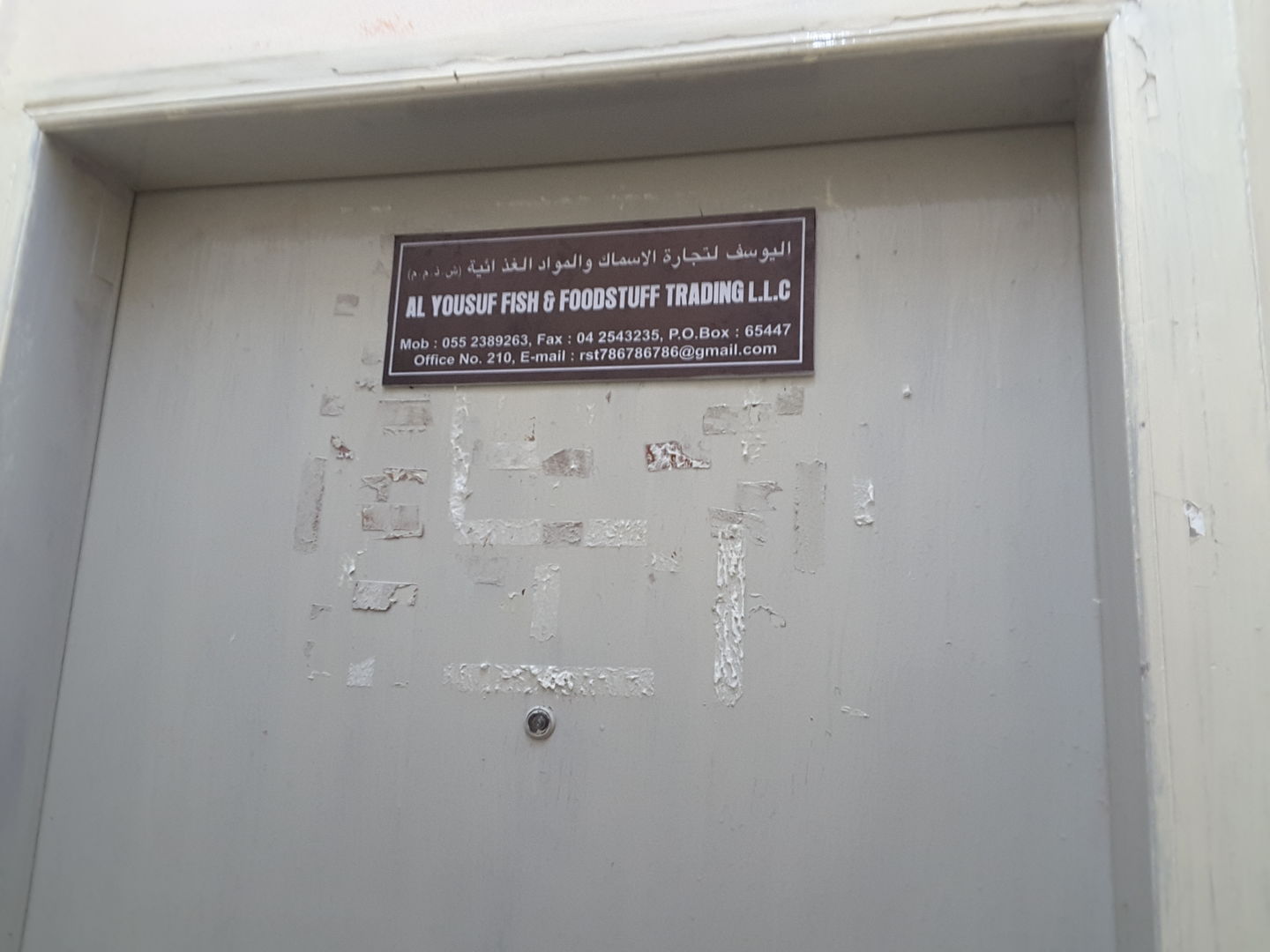 HiDubai-business-al-yousuf-fish-foodstuff-trading-b2b-services-food-stuff-trading-al-murar-dubai-2