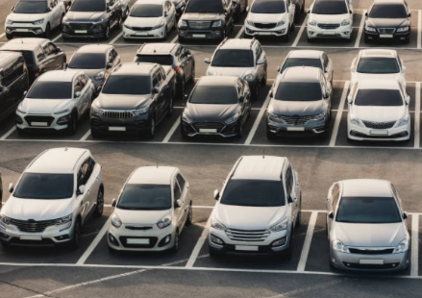 Aftis Car Rental(Car Rental Services) in Al Quoz 3, Dubai - HiDubai