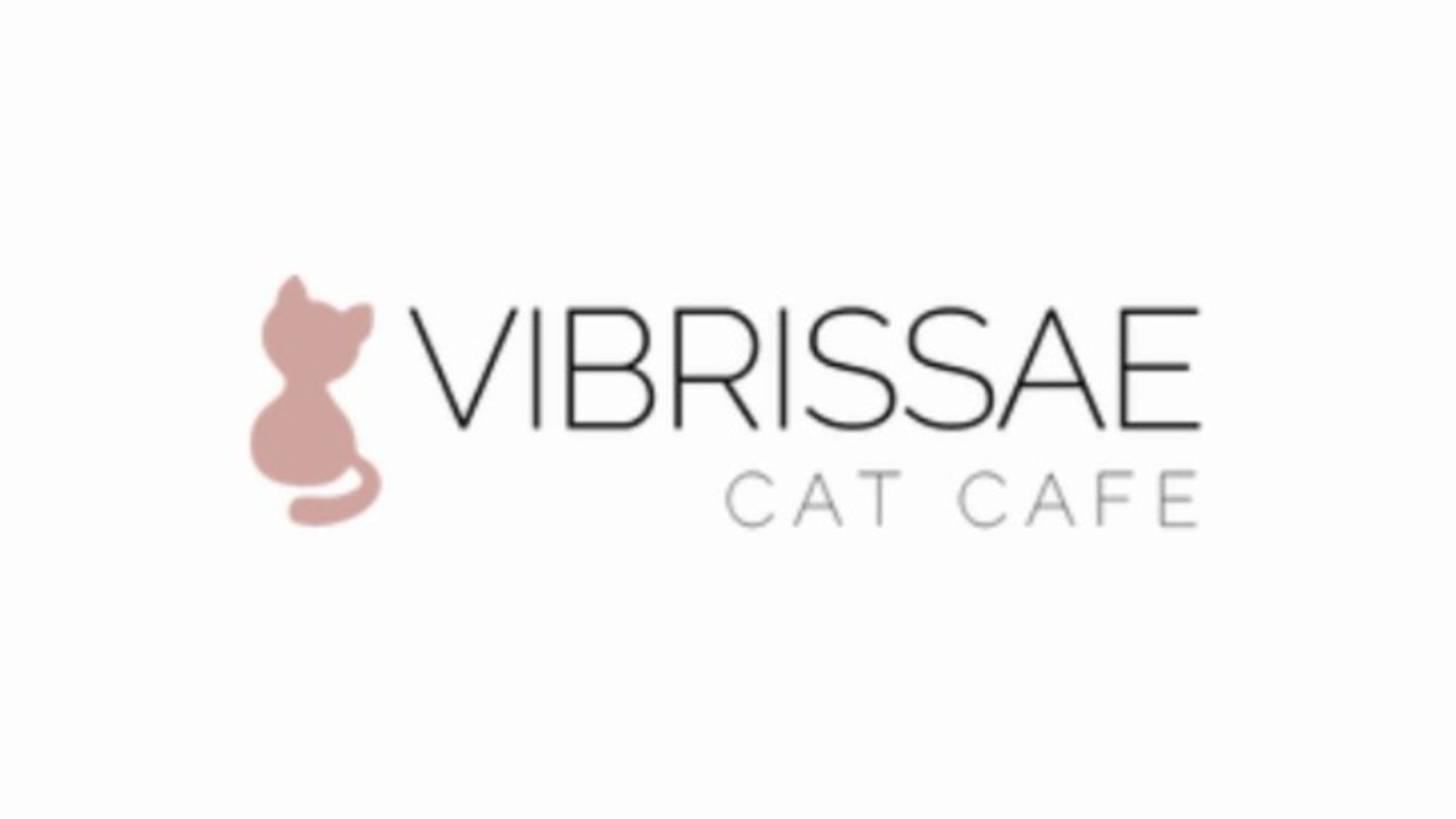 HiDubai-business-cat-cafe-vibrissae-food-beverage-coffee-shops-al-safa-1-dubai