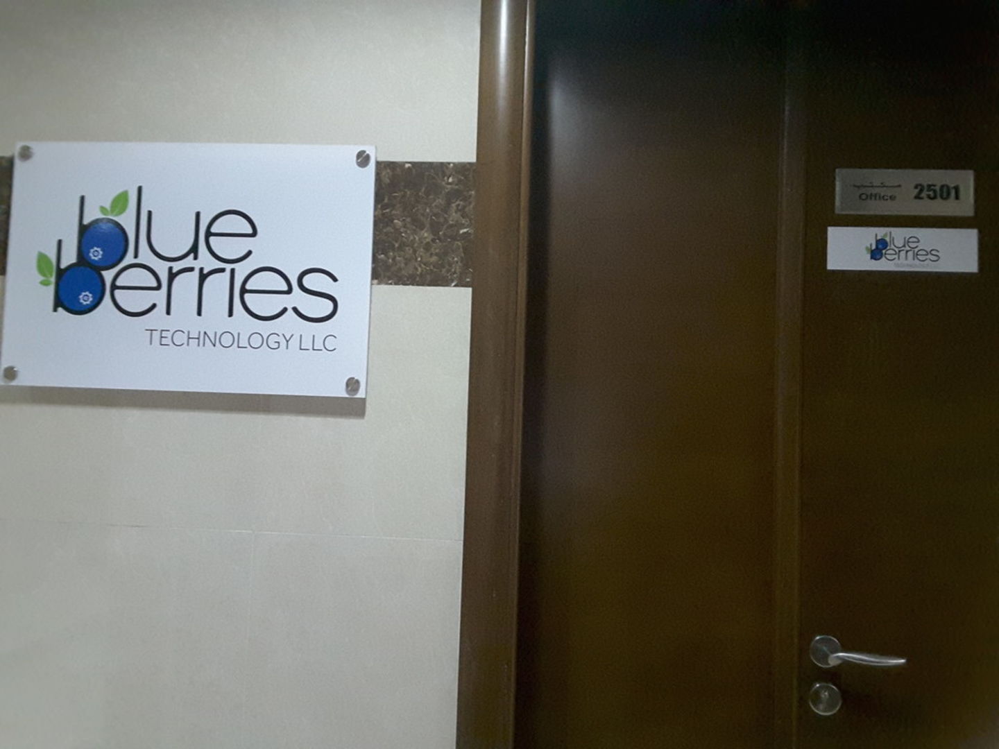 HiDubai-business-blue-berries-technology-media-marketing-it-it-telecommunication-business-bay-dubai-2