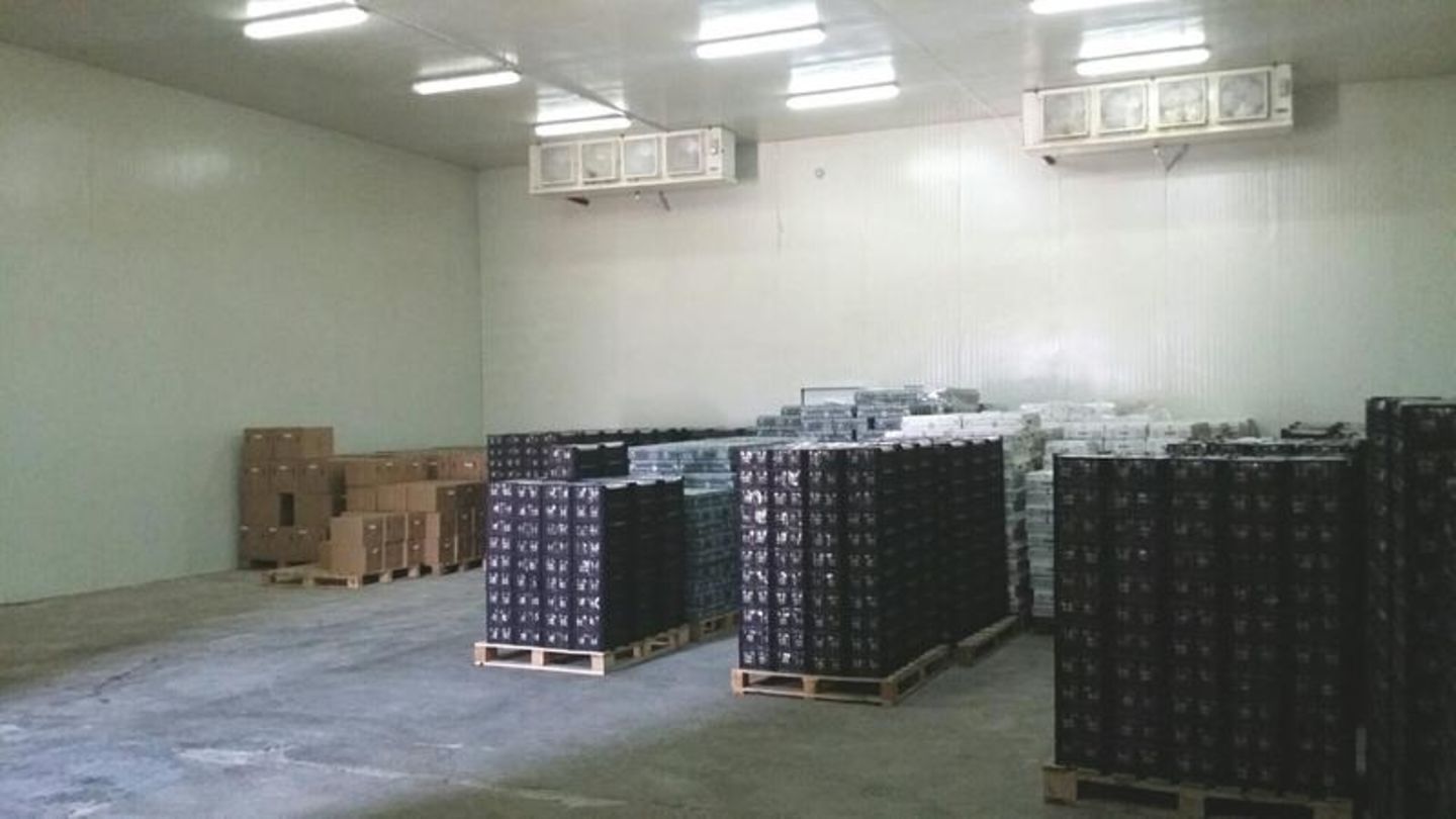 HiDubai-business-allied-bmb-cold-storage-shipping-logistics-shelving-warehousing-services-ras-al-khor-industrial-2-dubai