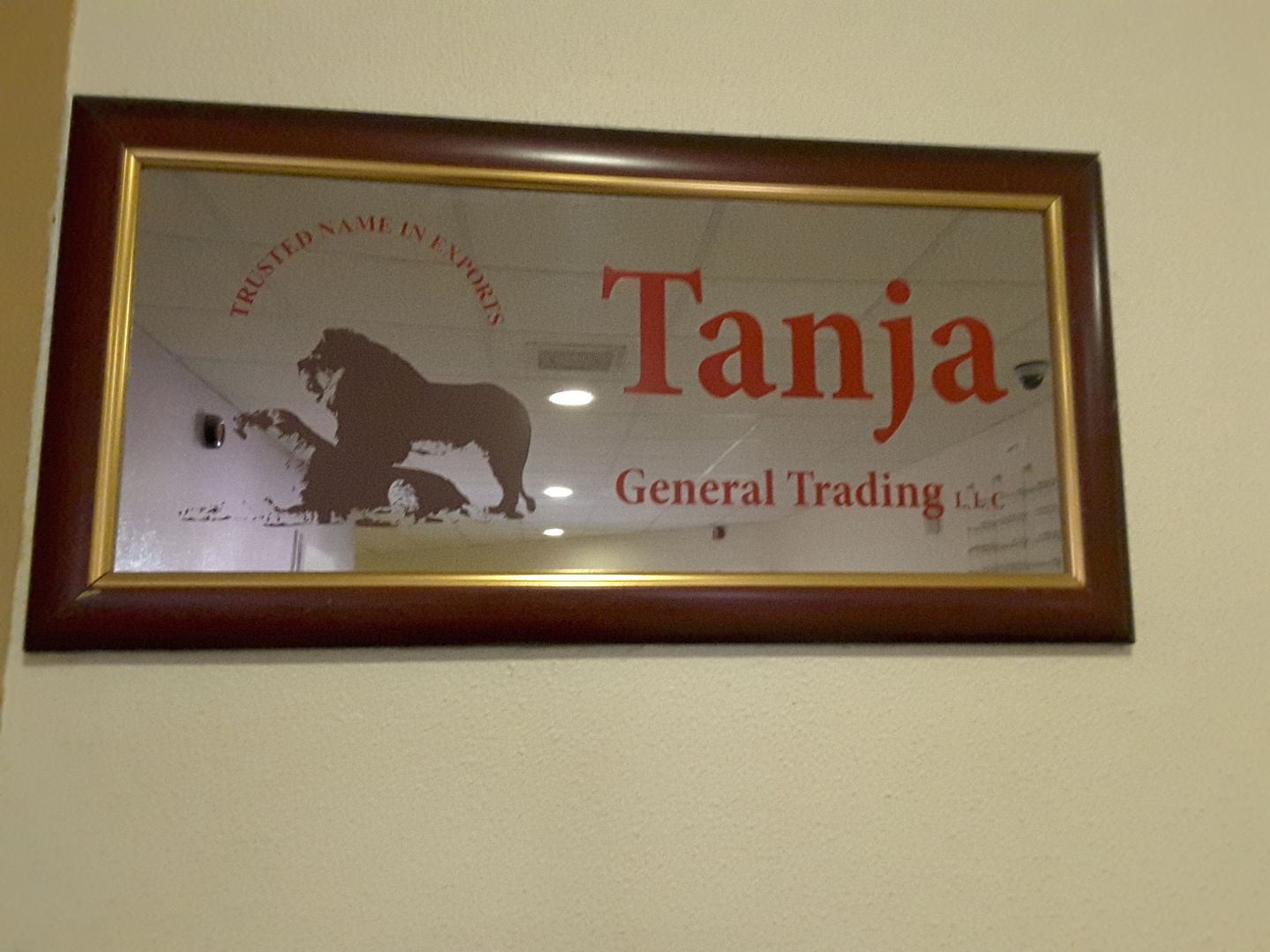 HiDubai-business-tanja-general-trading-b2b-services-distributors-wholesalers-corniche-deira-dubai-2