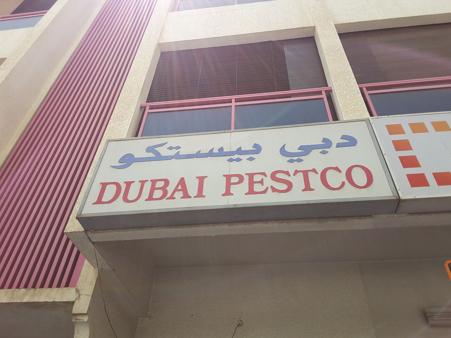 HiDubai-business-dubai-pestco-home-pest-control-disinfection-services-al-karama-dubai-2