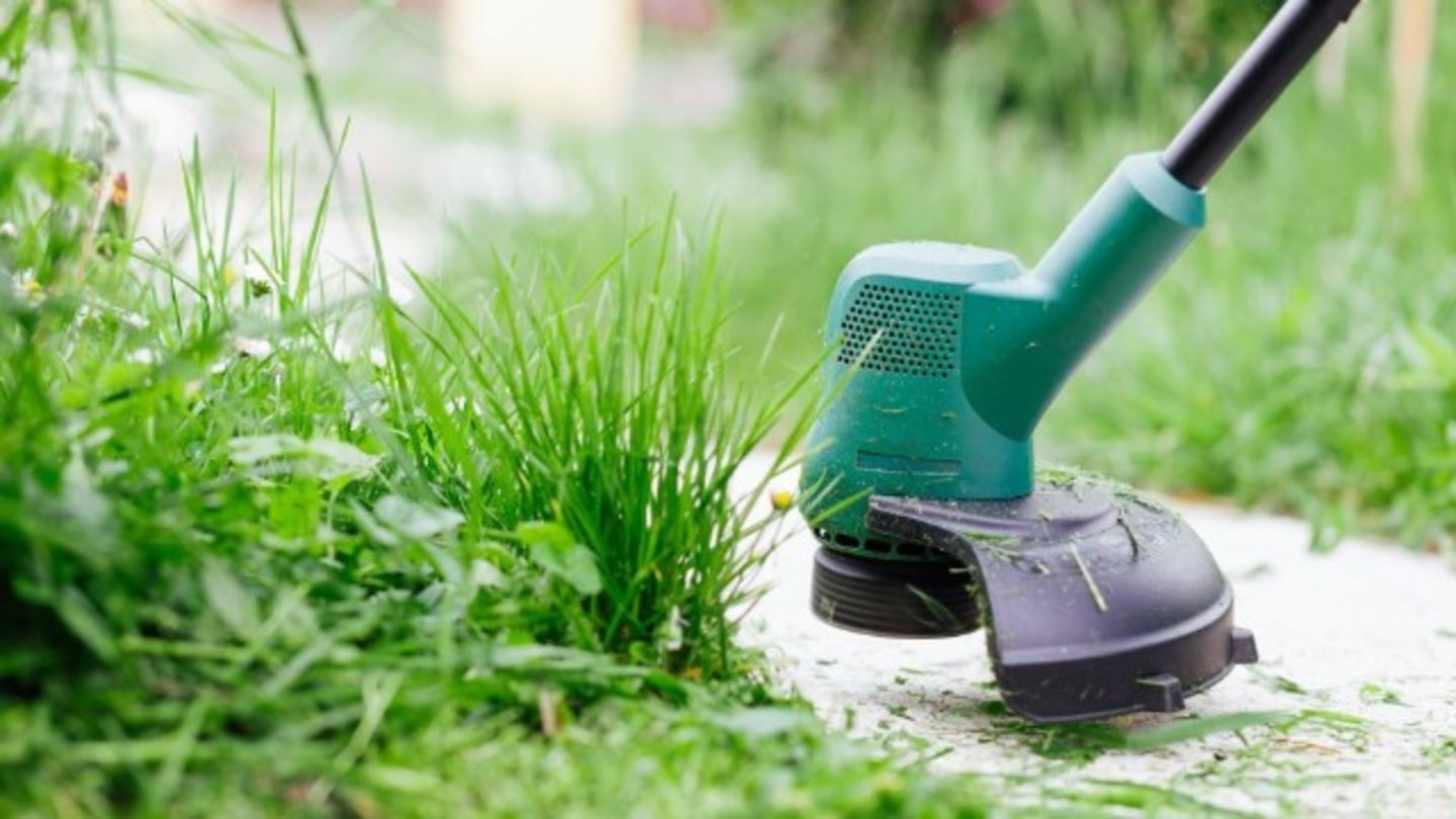 HiDubai-business-swat-garden-landscape-gardening-works-maintenance-home-gardening-landscaping-riggat-al-buteen-dubai