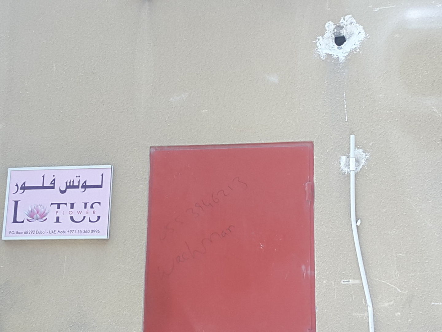 HiDubai-business-lotus-flower-home-gardening-landscaping-ras-al-khor-industrial-2-dubai-2