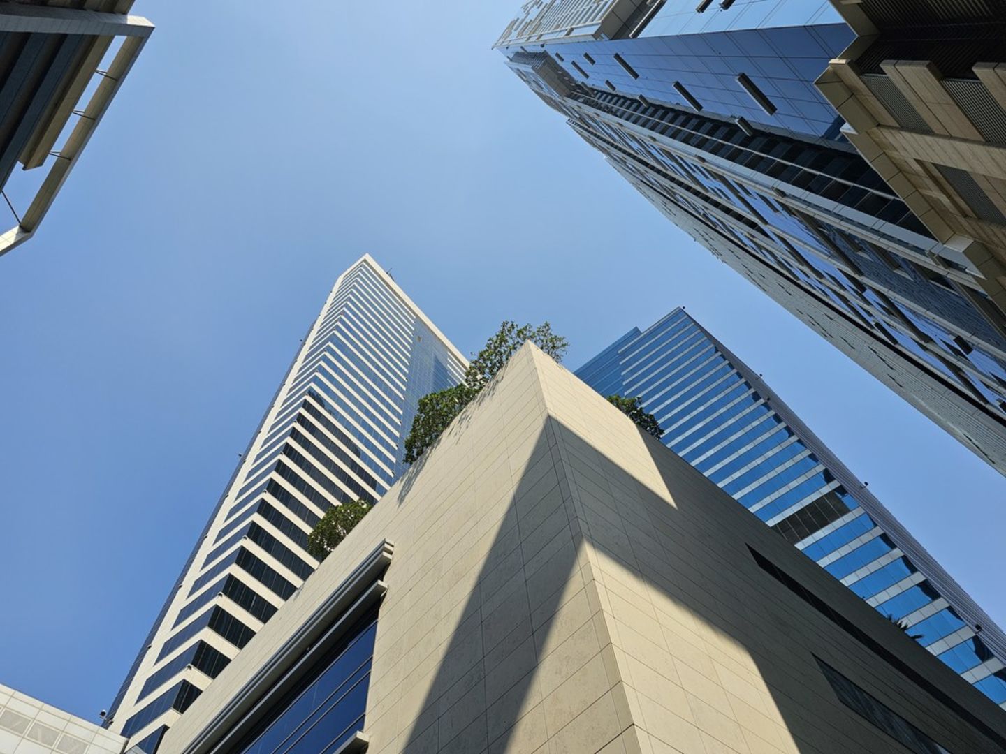 HiDubai-business-marcolin-middle-east-b2b-services-holding-companies-trade-centre-1-dubai