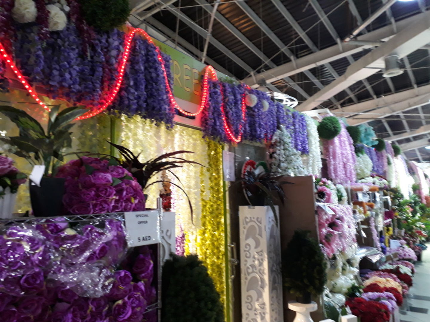 HiDubai-business-bonsai-tree-garden-shopping-furniture-decor-international-city-warsan-1-dubai