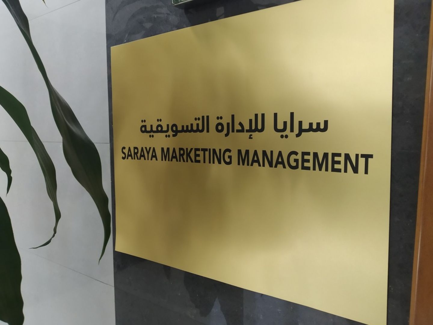 HiDubai-business-saraya-marketing-management-media-marketing-it-advertising-design-agency-port-saeed-dubai