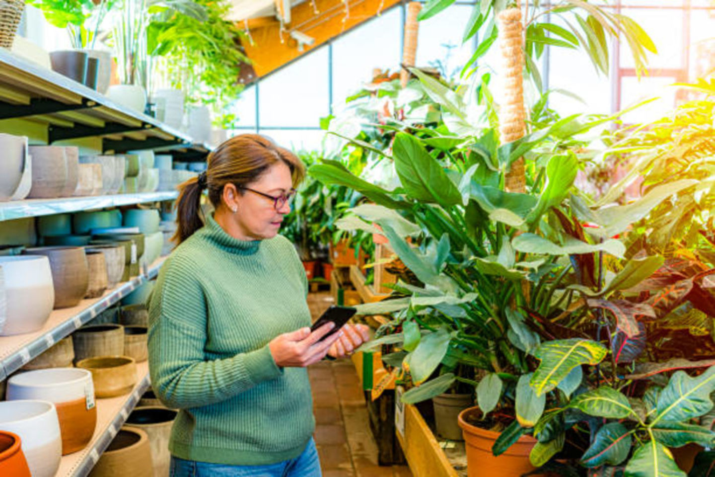 HiDubai-business-plantology-lab-trading-animals-pets-plants-plants-gardening-stores-al-warqaa-3-dubai