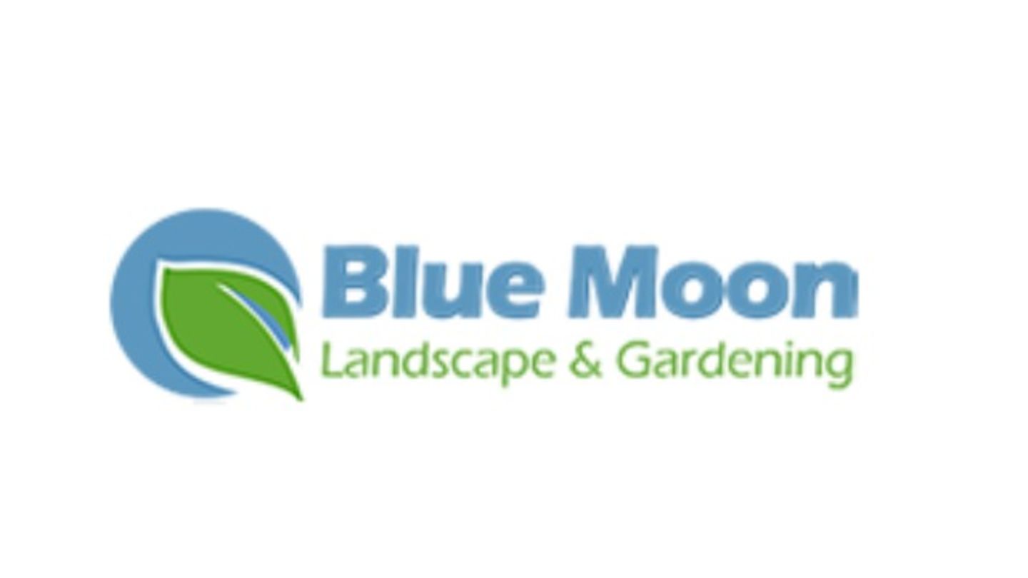 HiDubai-business-blue-moon-landscape-gardening-home-gardening-landscaping-international-city-warsan-1-dubai