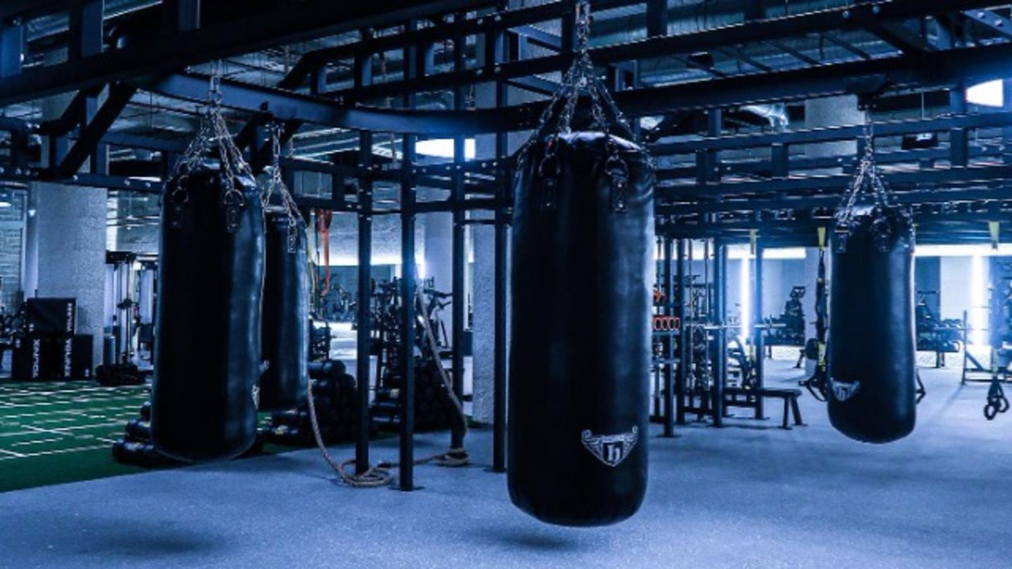 HiDubai-business-the-warehouse-gym-sports-fitness-gyms-fitness-centres-pools-ibn-batuta-jebel-ali-1-dubai