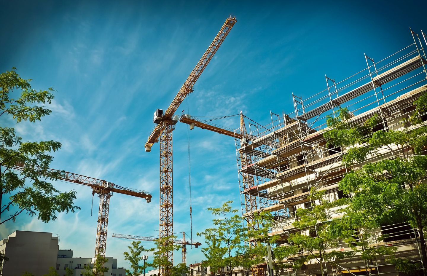 HiDubai-business-lifting-equipment-engineers-association-construction-heavy-industries-construction-renovation-dubai-academic-city-al-rowaiyah-1-dubai-2