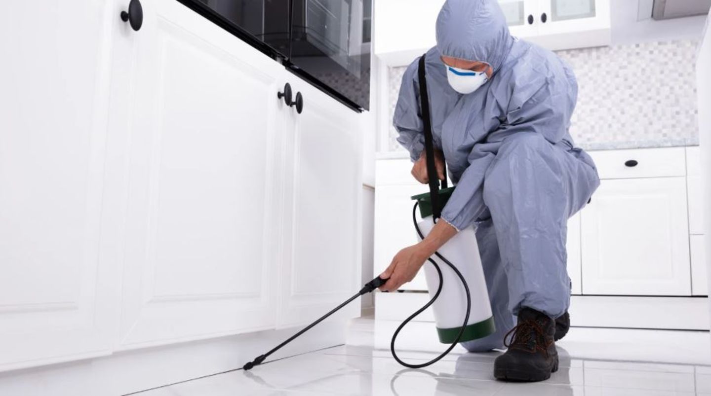 HiDubai-business-supreme-pest-control-services-home-pest-control-disinfection-services-al-qusais-industrial-1-dubai