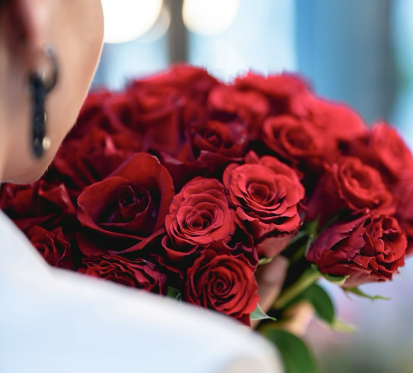 HiDubai-business-dodo-flowers-animals-pets-plants-plants-gardening-stores-al-merkadh-dubai