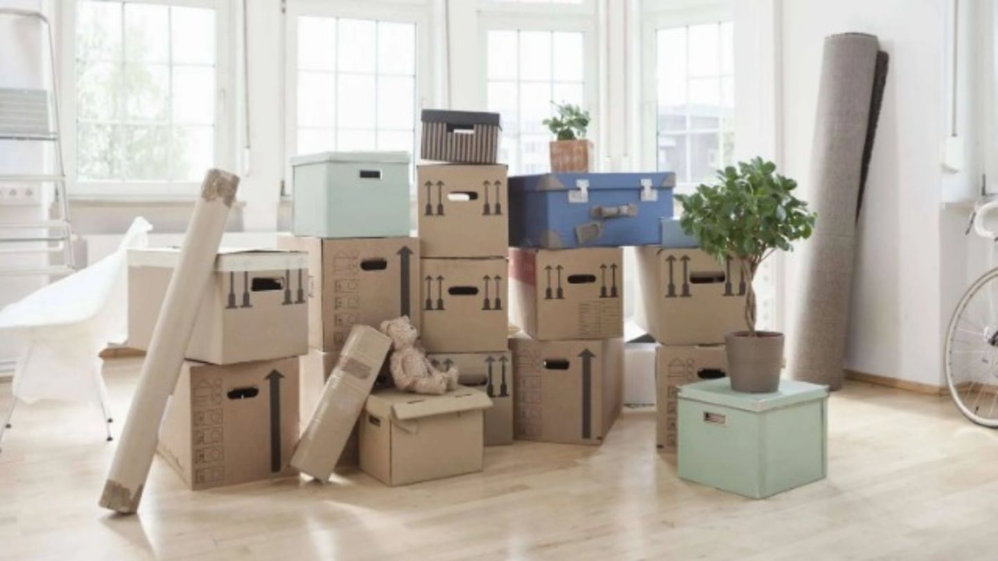 HiDubai-business-easy-movers-shipping-logistics-moving-storage-services-dubai-investment-park-1-dubai