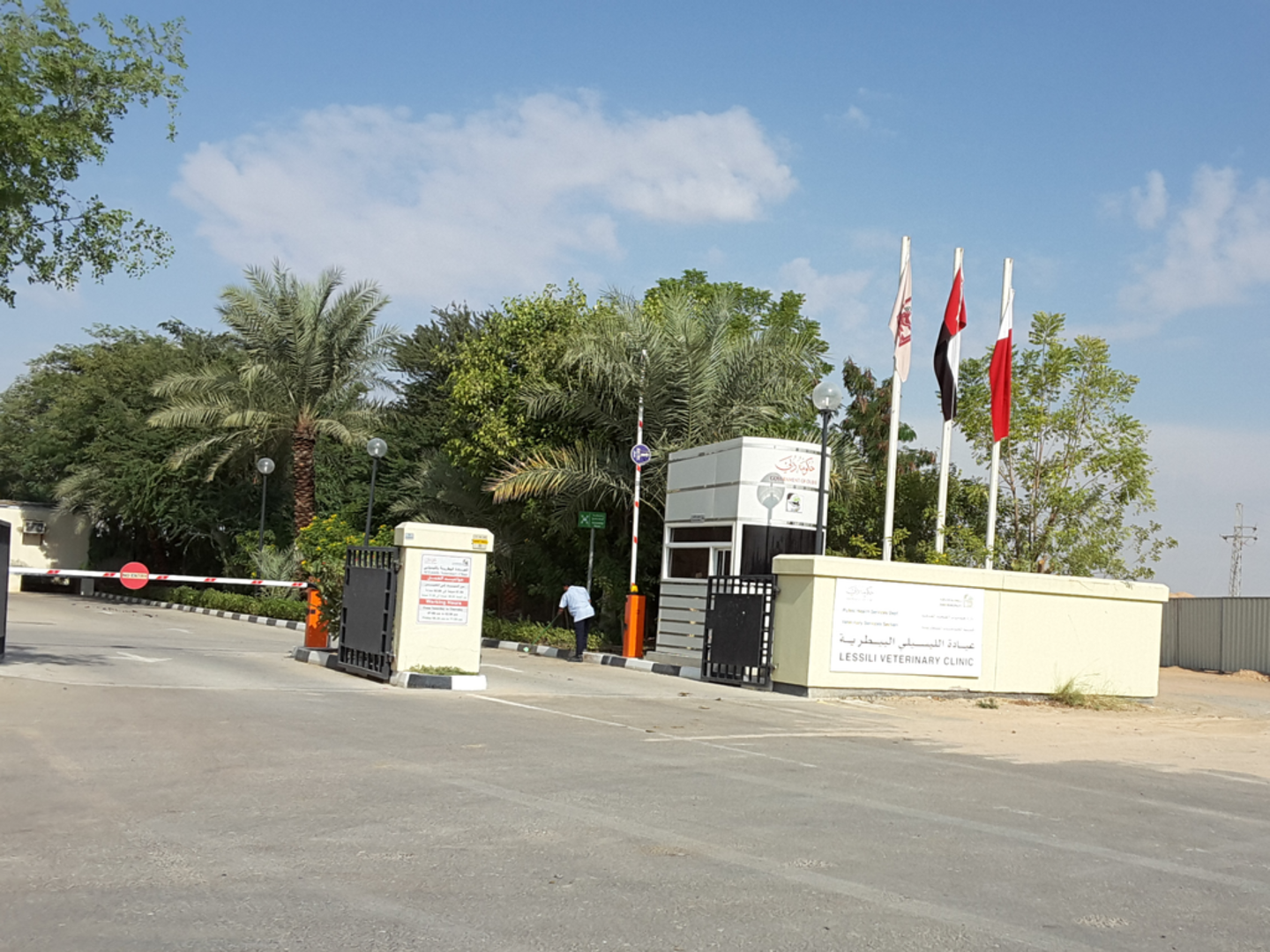 HiDubai-business-lessili-veterinary-clinic-animals-pets-plants-pet-clinics-vets-al-lisaili-dubai-2