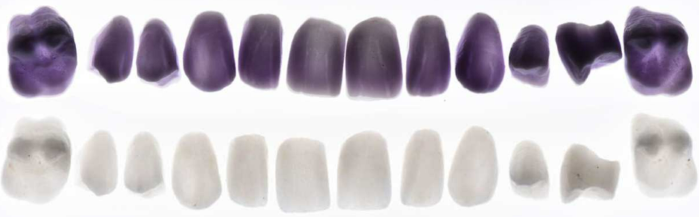 HiDubai-business-guglielmo-parziale-beauty-wellness-health-specialty-clinics-business-bay-dubai