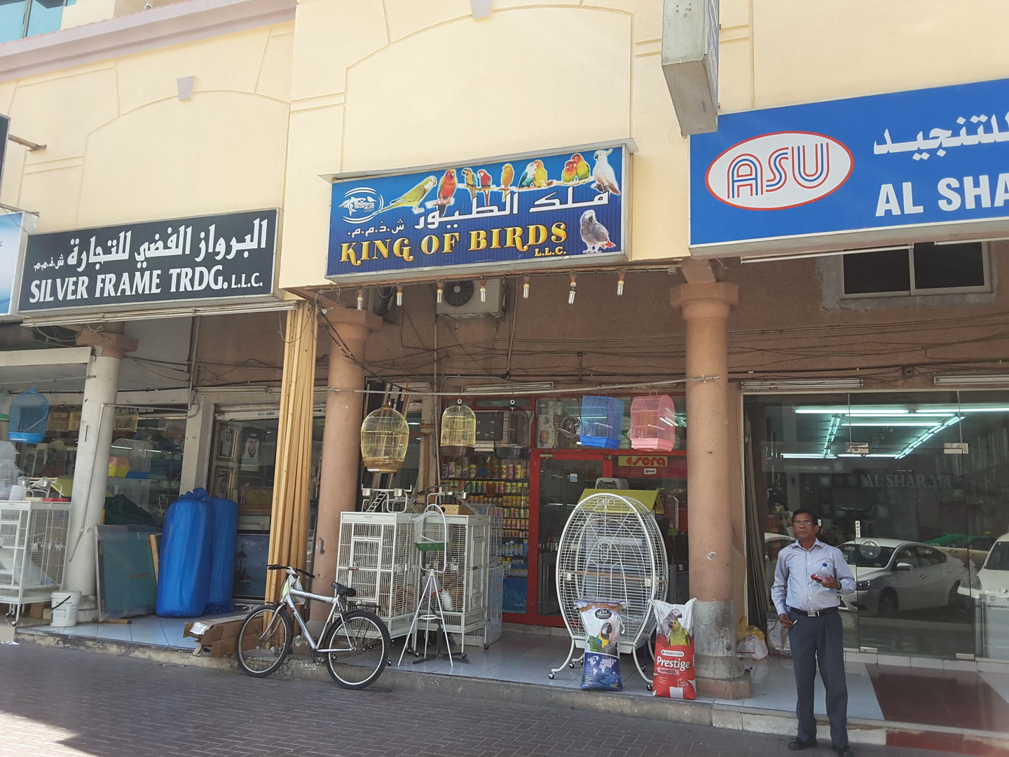 HiDubai-business-king-of-birds-animals-pets-plants-animal-shelters-adoption-centres-al-satwa-dubai-2