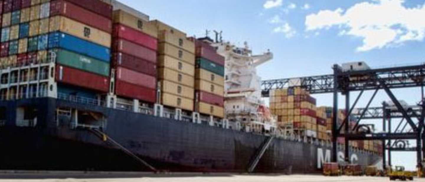 HiDubai-business-sea-trust-shipping-services-shipping-logistics-shipping-madinat-dubai-dubai