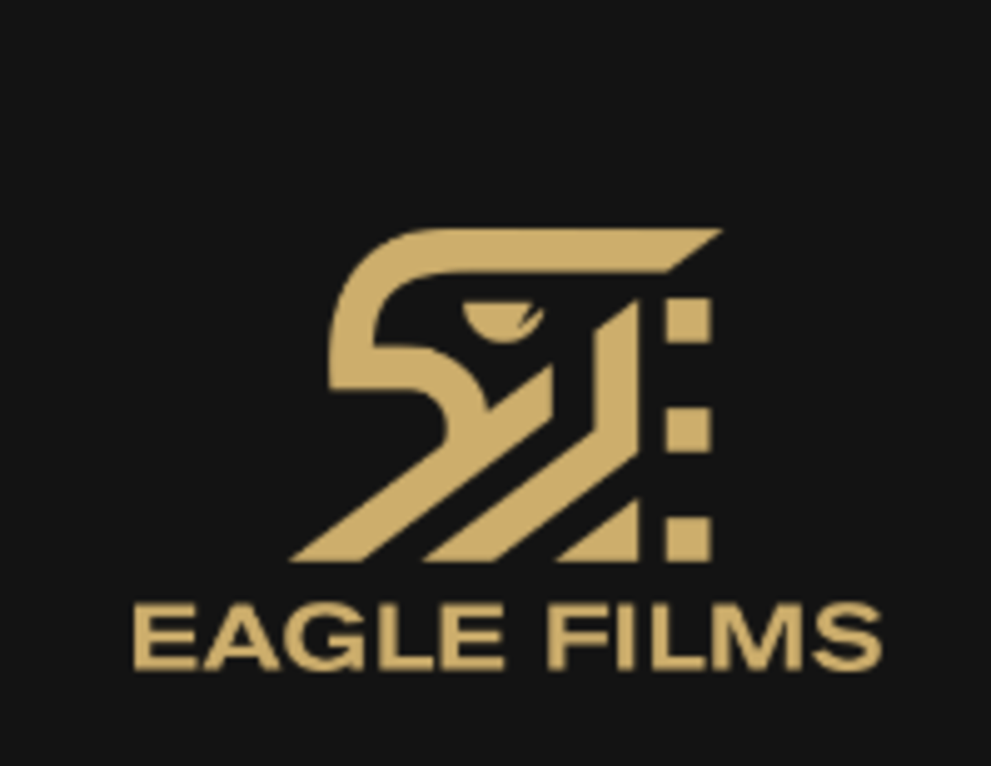 HiDubai-business-eagle-firms-middle-east-vocational-services-audio-video-production-burj-khalifa-dubai