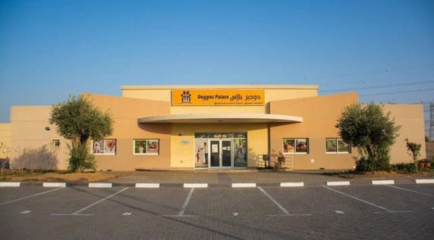 HiDubai-business-doggies-palace-animals-pets-plants-animal-training-centres-warsan-3-dubai