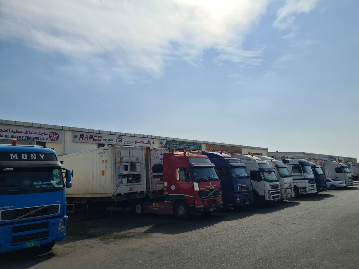HiDubai-business-mohammed-kamaluddin-vegetables-and-fruits-trading-b2b-services-food-stuff-trading-ras-al-khor-industrial-3-dubai