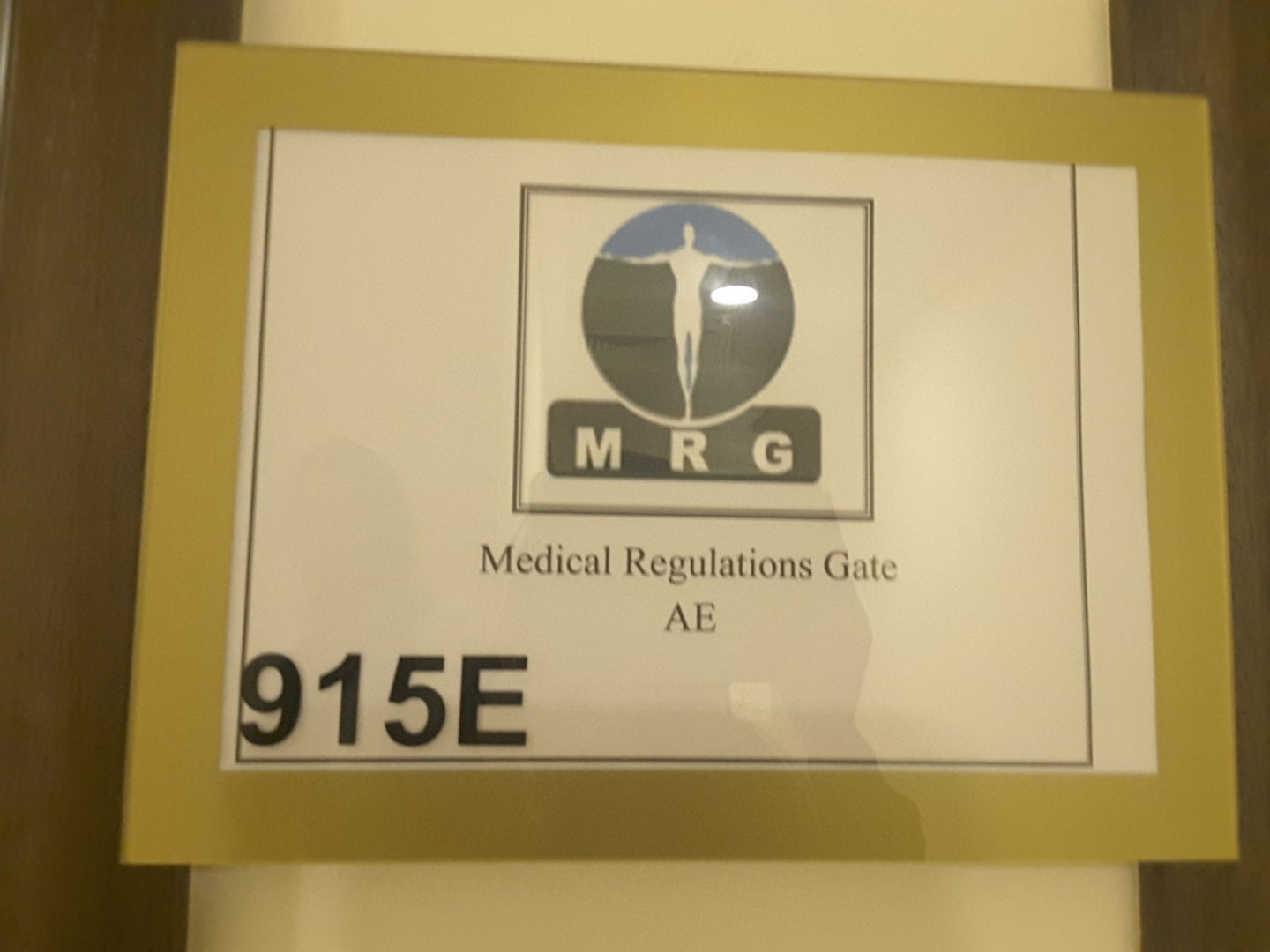 HiDubai-business-medical-regulations-gate-b2b-services-holding-companies-ibn-batuta-jebel-ali-1-dubai-2