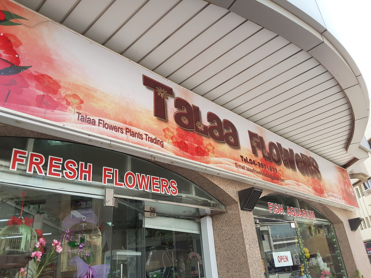 HiDubai-business-talaa-flowers-plants-trading-animals-pets-plants-plants-gardening-stores-al-karama-dubai-2