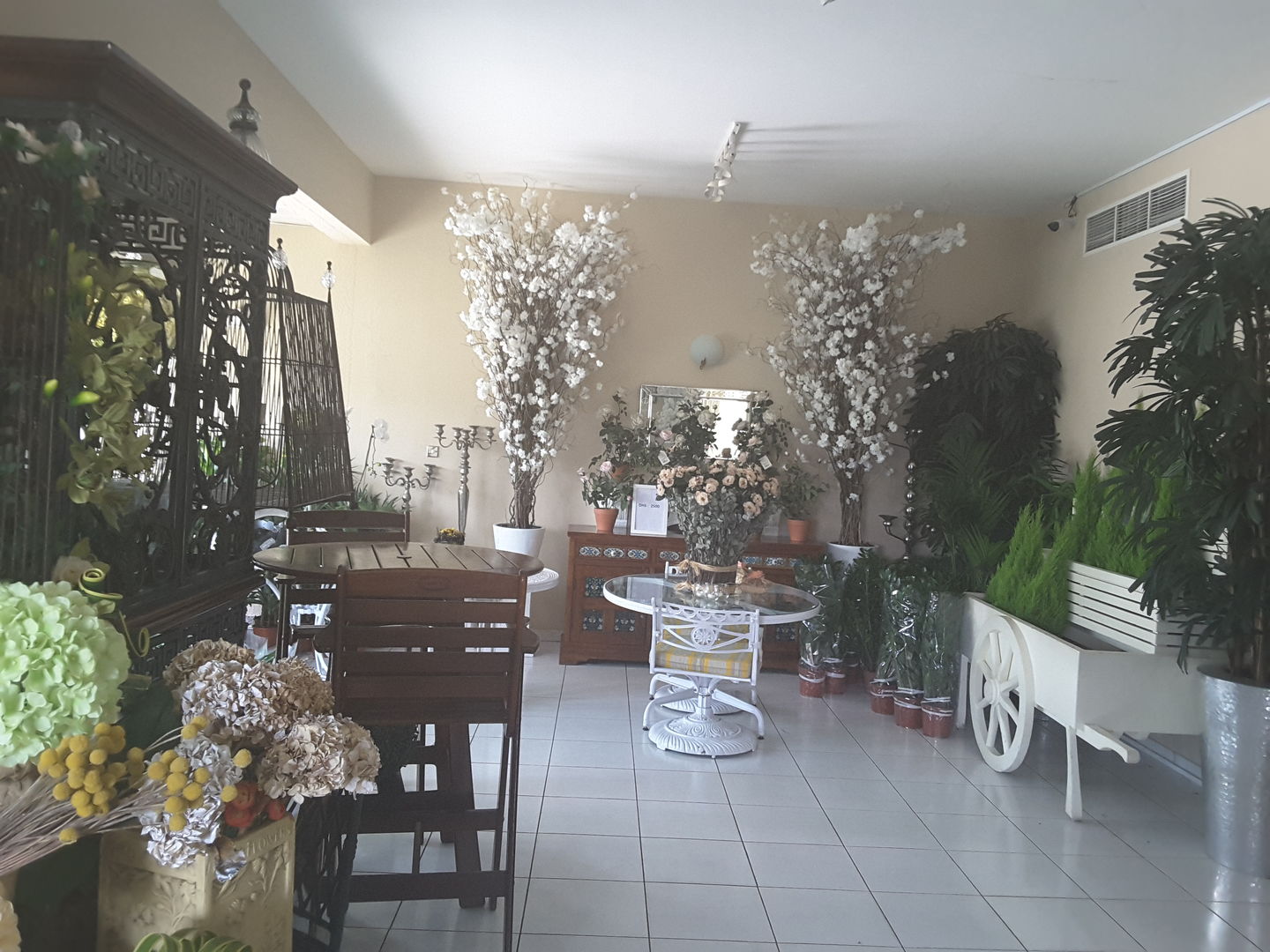 HiDubai-business-oleander-flowers-animals-pets-plants-plants-gardening-stores-jumeirah-1-dubai-4