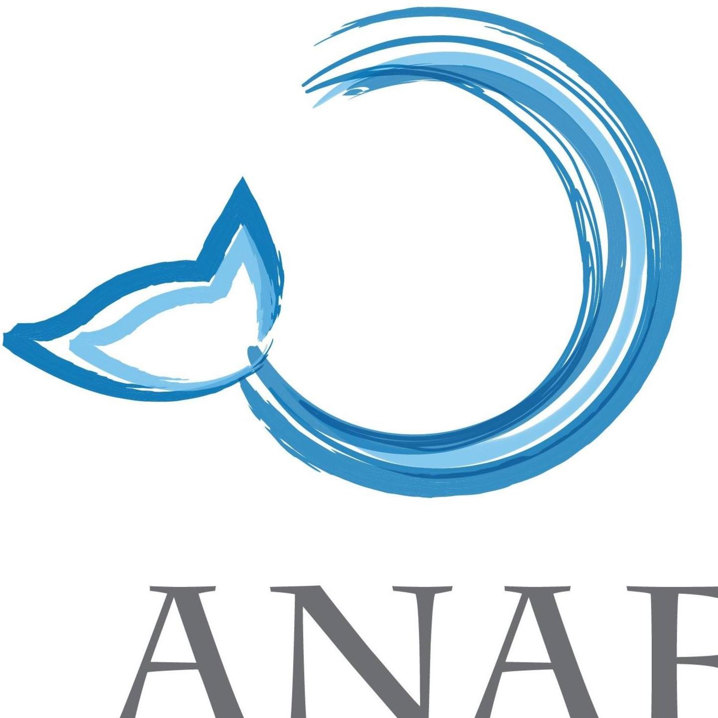 HiDubai-business-anaf-agriculture-veterinary-research-consultancy-b2b-services-business-consultation-services-business-bay-dubai-2