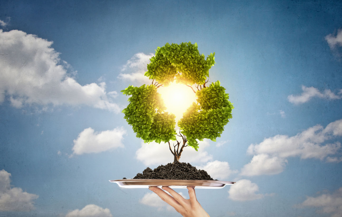 HiDubai-business-al-mawazeen-soil-testing-construction-heavy-industries-environmental-agricultural-companies-al-quoz-industrial-1-dubai-2