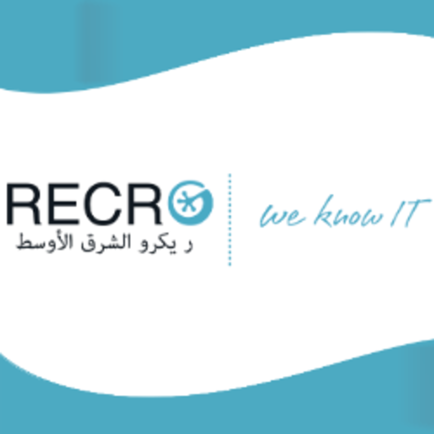 HiDubai-business-recro-net-b2b-services-it-services-al-wasl-dubai-2