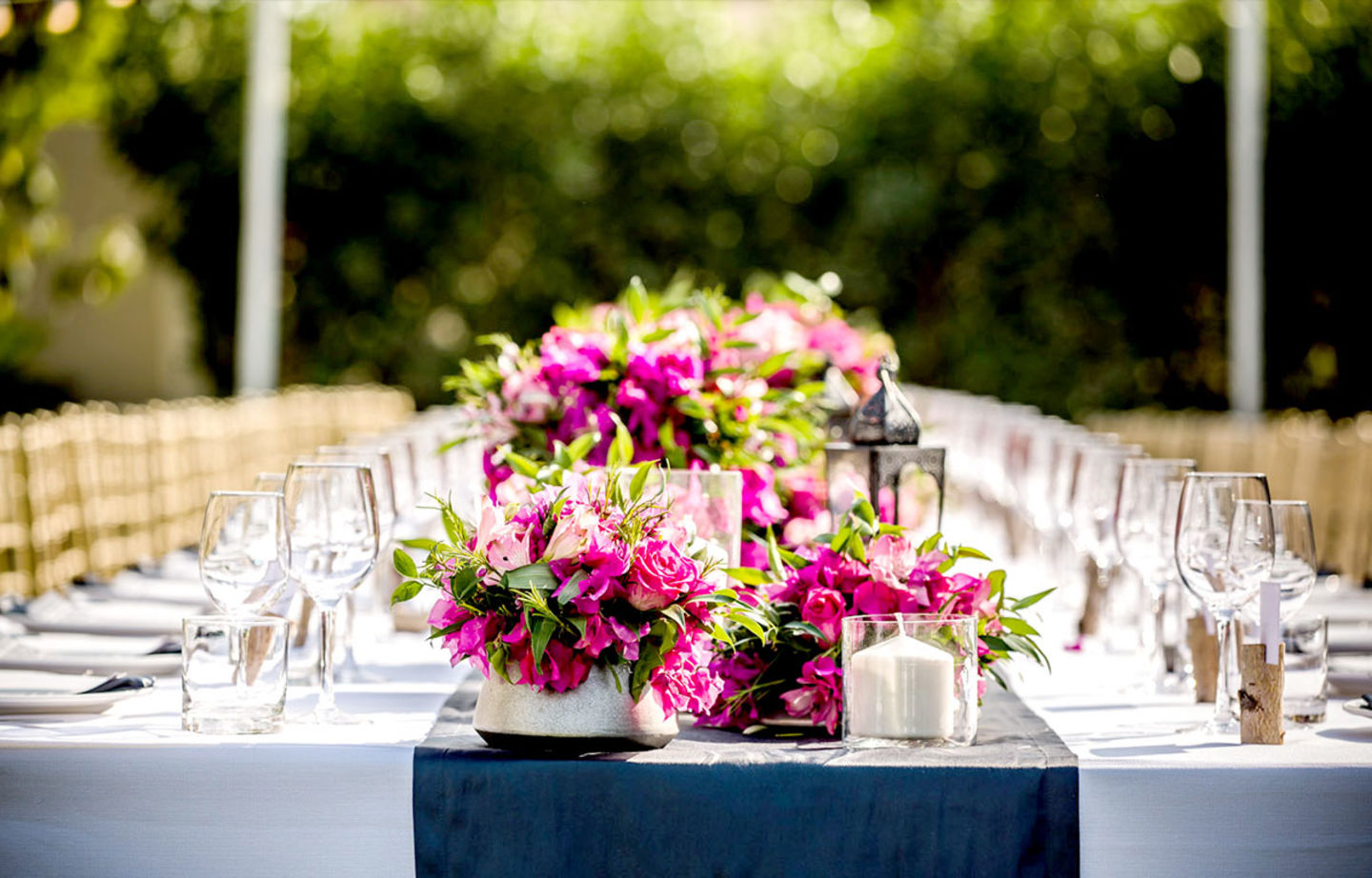 HiDubai-business-art-flower-animals-pets-plants-plants-gardening-stores-jumeirah-1-dubai-2