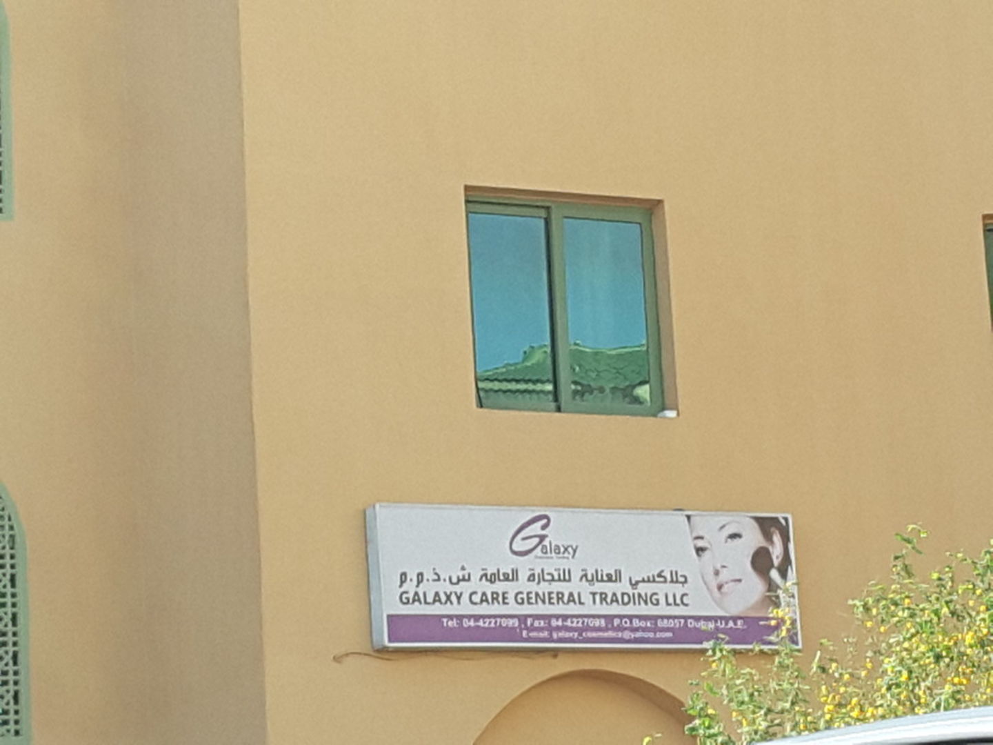 HiDubai-business-galaxy-care-general-trading-b2b-services-distributors-wholesalers-international-city-warsan-1-dubai