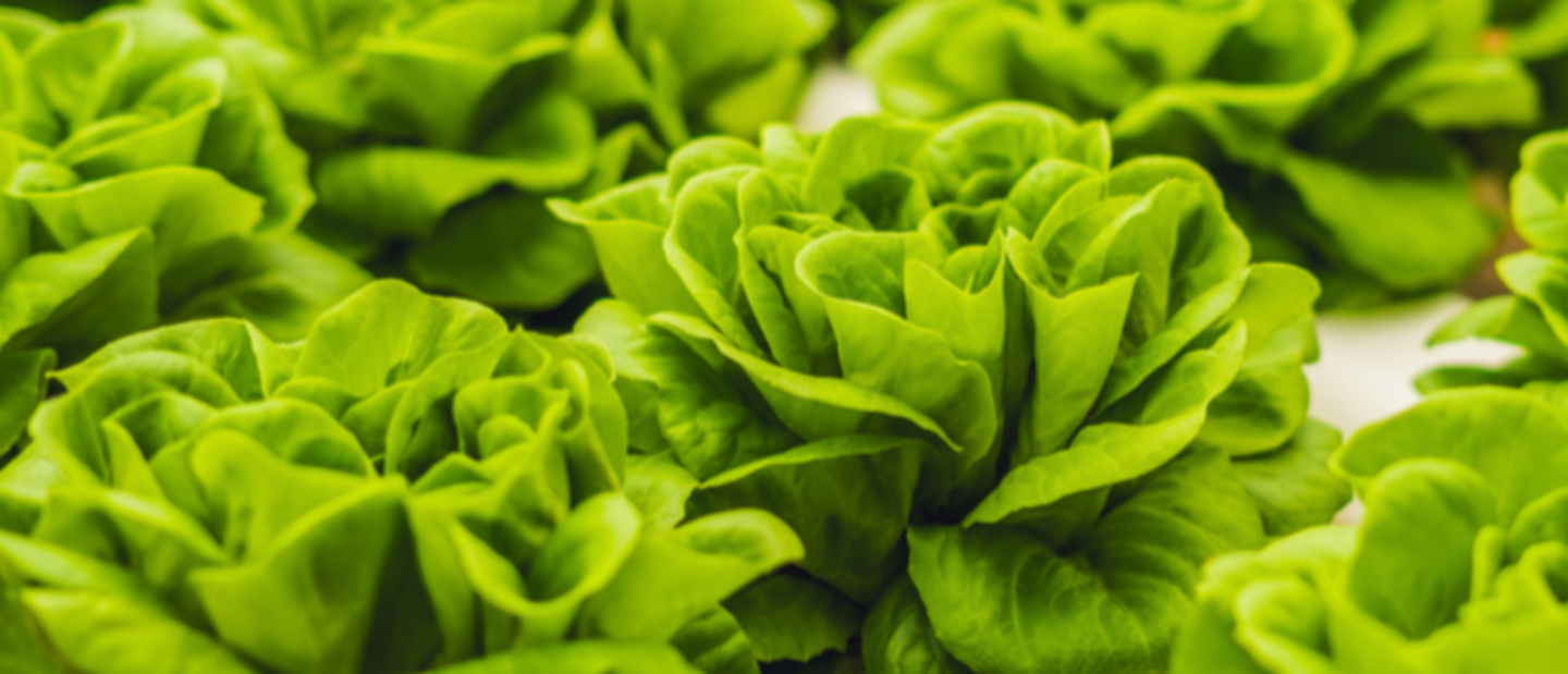 Bio Catalyst Water Treatment(Waste & Recycling Services) in Dubai