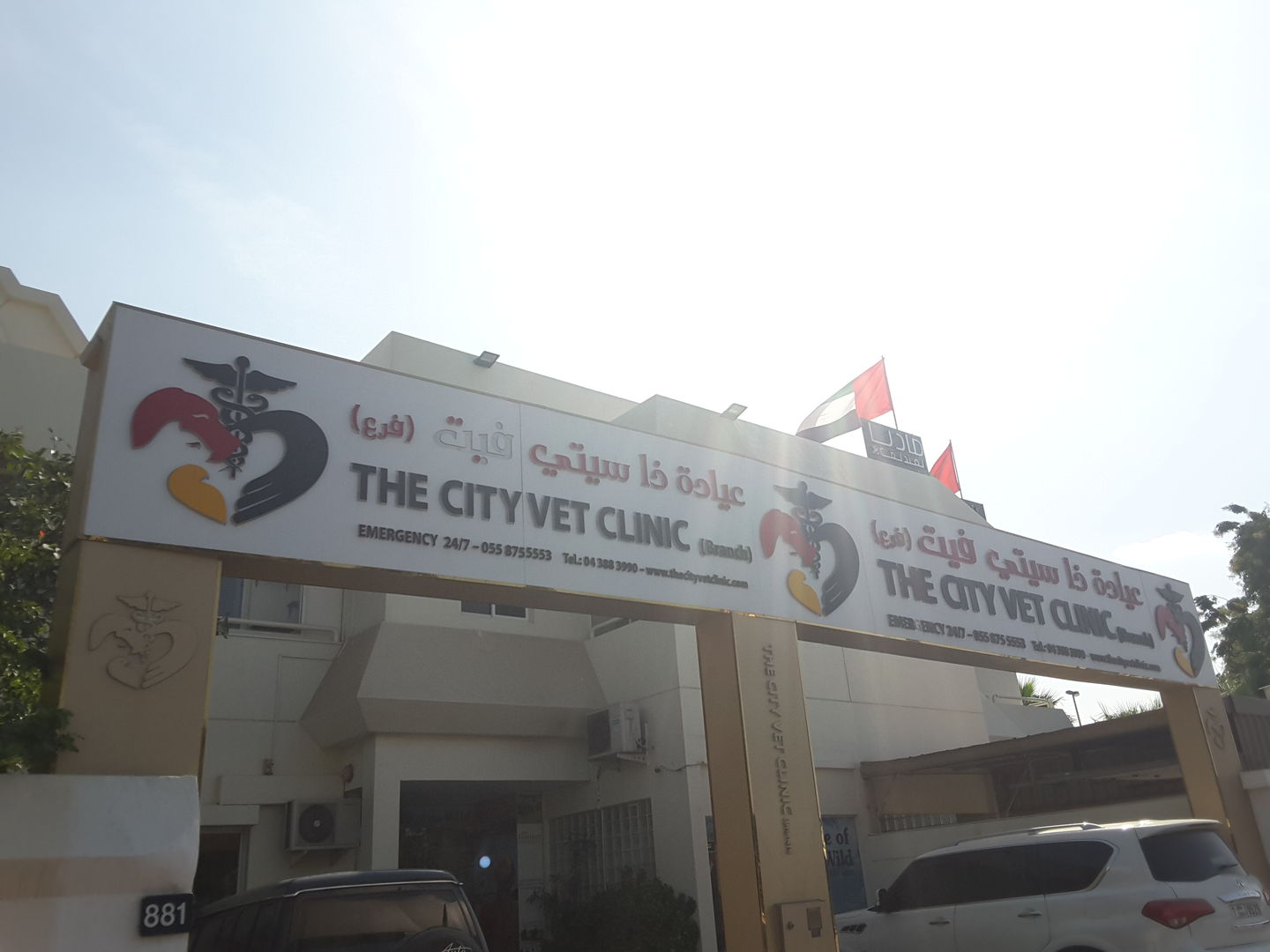 HiDubai-business-the-city-vet-clinic-animals-pets-plants-pet-clinics-vets-al-safa-2-dubai-2