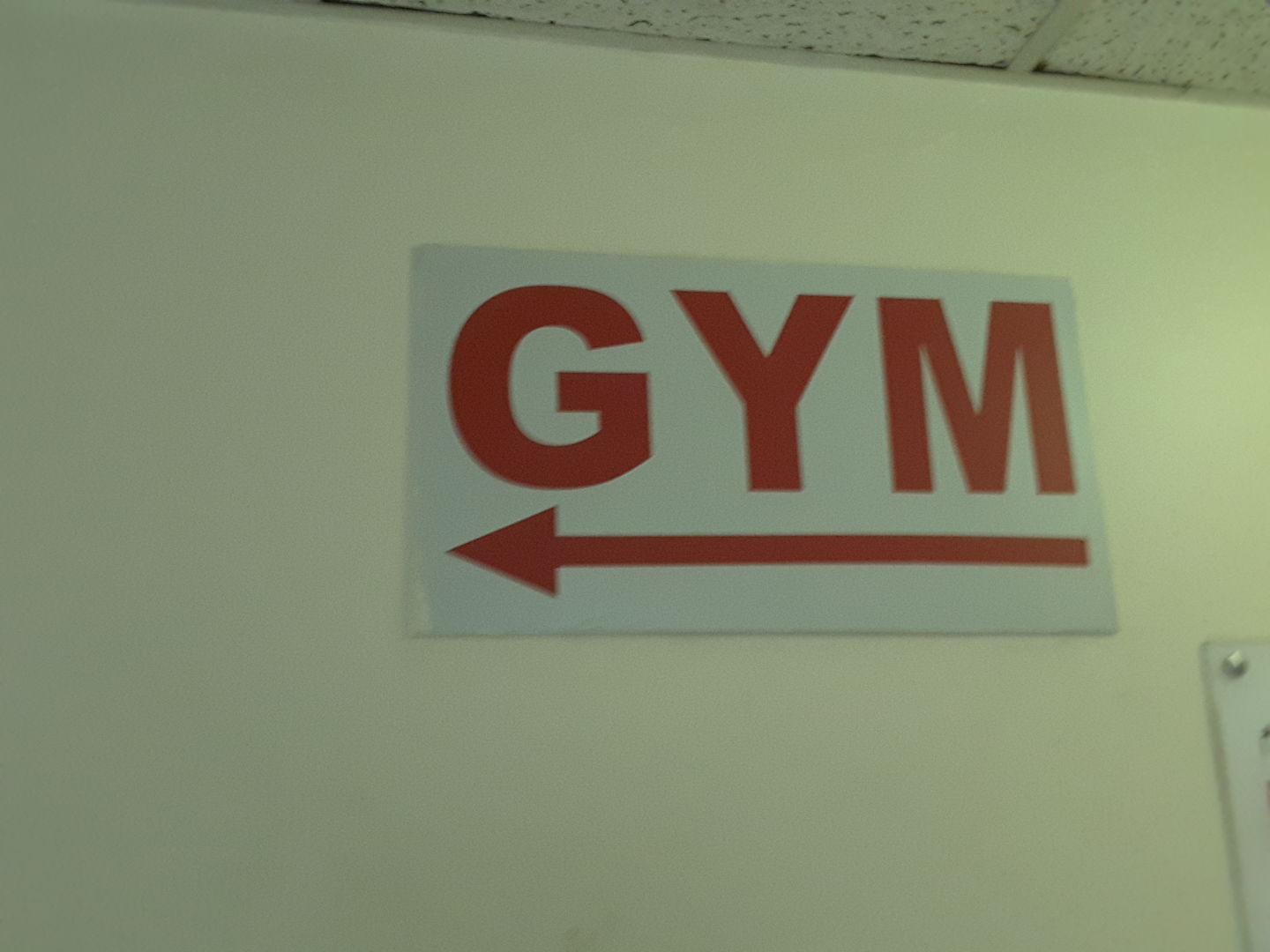 HiDubai-business-de-lions-gym-sports-fitness-gyms-fitness-centres-pools-hor-al-anz-dubai-2