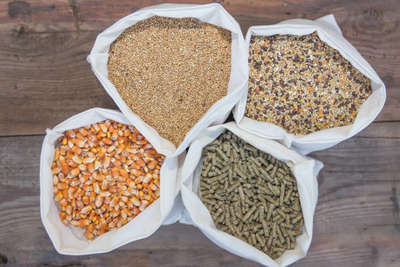Fodder Trading Green Stone Fodder Trading L.l.c(Pet Food & Accessories Stores) in Al ...
