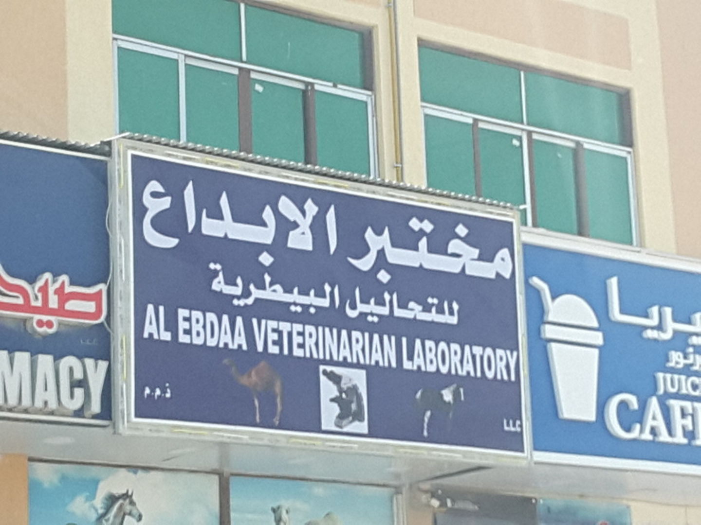 HiDubai-business-al-ebdaa-veterinarian-laboratory-beauty-wellness-health-labs-medical-test-centres-umm-al-momeneen-dubai-2